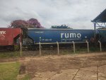 RUMO HTT-351164-2